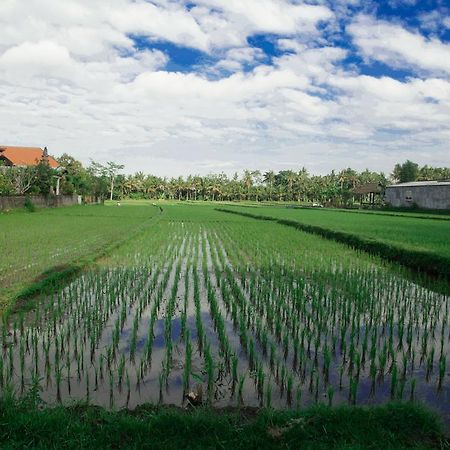 Canang Sari House Ubud Exteriör bild