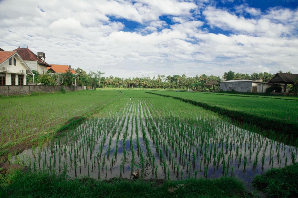Canang Sari House Ubud Exteriör bild